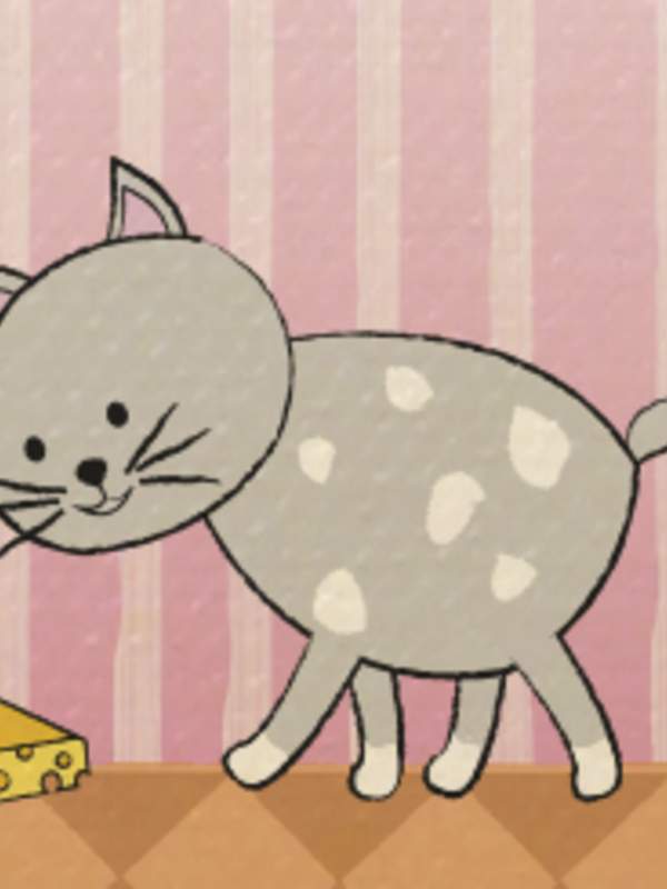 Lectura con que, qui: El gato de Raquel