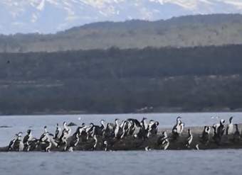 Video de Actividad sugerida: LC03.3 - kawésqar: Experimentan con sonidos e imágenes propias del pueblo kawésqar que dan cuenta de su relación con la naturaleza. Video de Actividad sugerida: LC03.3 - kawésqar: Experimentan con sonidos e imágenes propias del pueblo kawésqar que dan cuenta de su relación con la naturaleza.