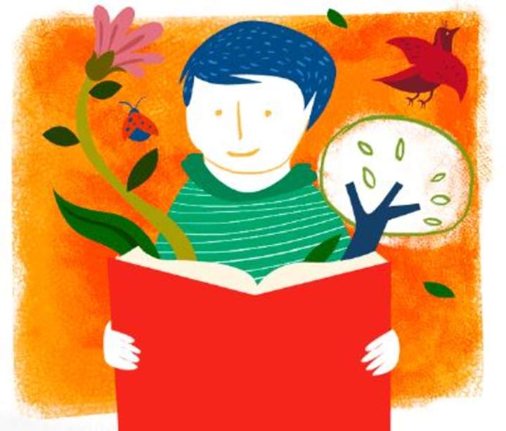 Claves para elegir libros informativos