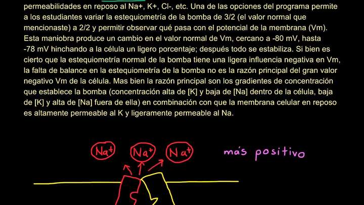 Corrección del video de la bomba sodio-potasio | Biología | Khan Academy en Español