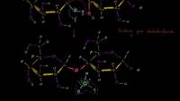 Síntesis por deshidratación o reacción de condensación | Biología | Khan Academy en Español