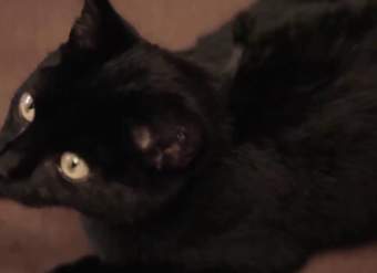 Descubrimiento del efecto triboeléctrico | Física | Khan Academy en Español