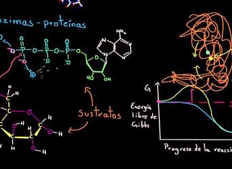 Enzimas | Energía y enzimas | Biología | Khan Academy en Español