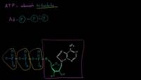 ATP: adenosín trifosfato | Energía y enzimas | Biología | Khan Academy en Español