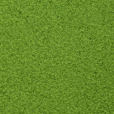 Funciones exponencial y logarítmica