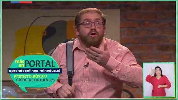 Ciencias Naturales 1°básico Capítulo 5