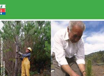 CONAF. (2013) Guía básica de buenas prácticas para plantaciones forestales de pequeños y medianos propietarios