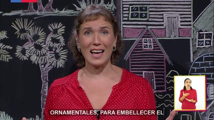 AprendoTV 2021 - 3° y 4° básico / Capítulo 08