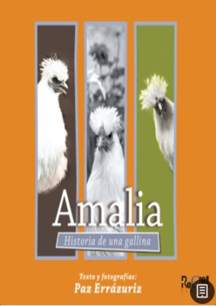 Amalia Historia de una gallina Amalia Historia de una gallina