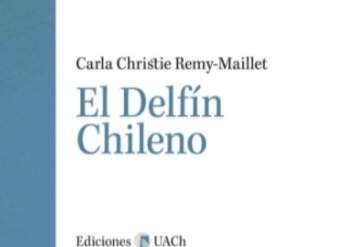 El delfín chileno El delfín chileno