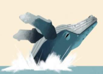 La ballena jorobada La ballena jorobada