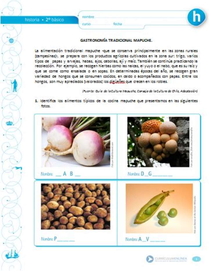 Gastronomía Tradicional mapuche