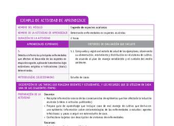 Detectando enfermedades en especies acuícolas