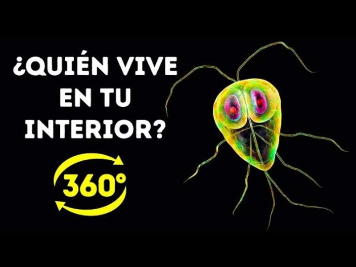 Imagen portada
