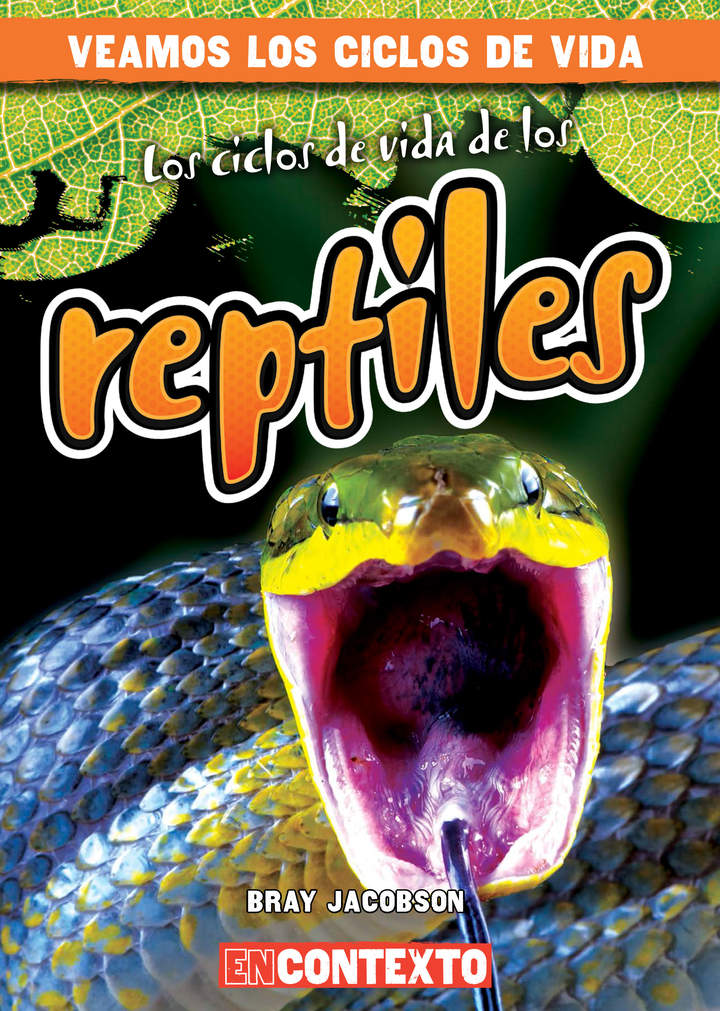 Imagen portada