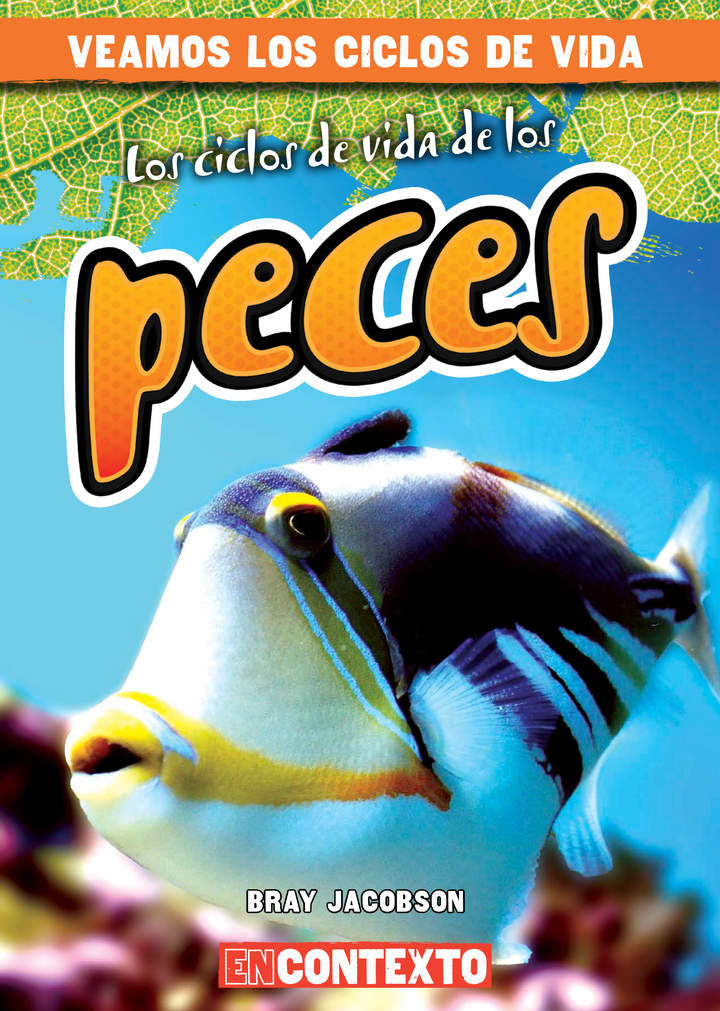Imagen portada