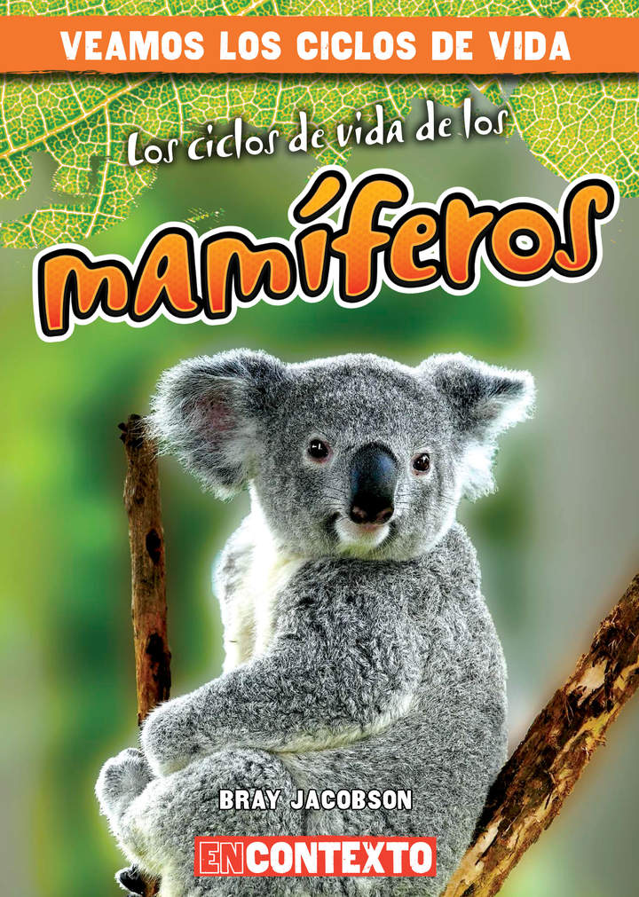 Imagen portada