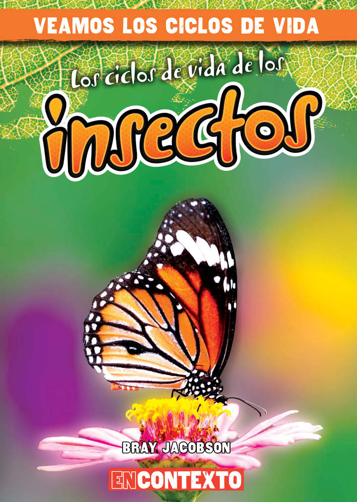 Imagen portada