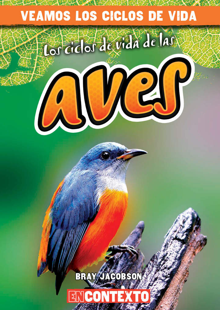 Imagen portada