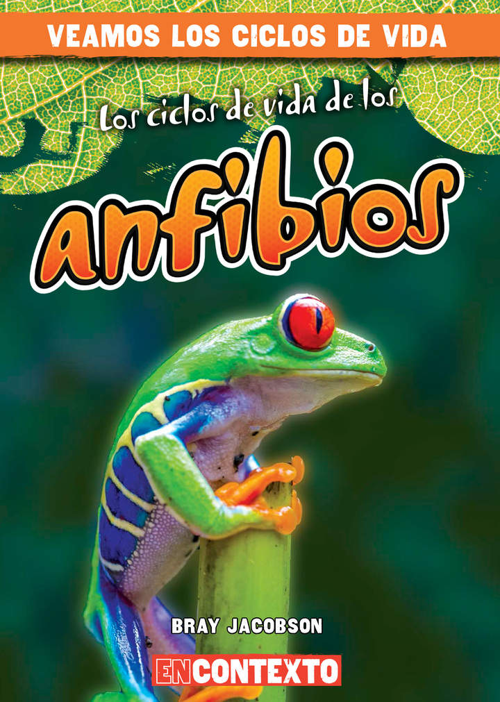 Imagen portada