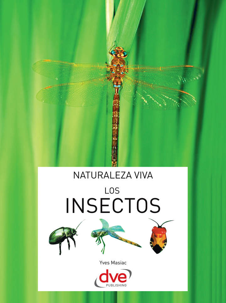 Imagen portada