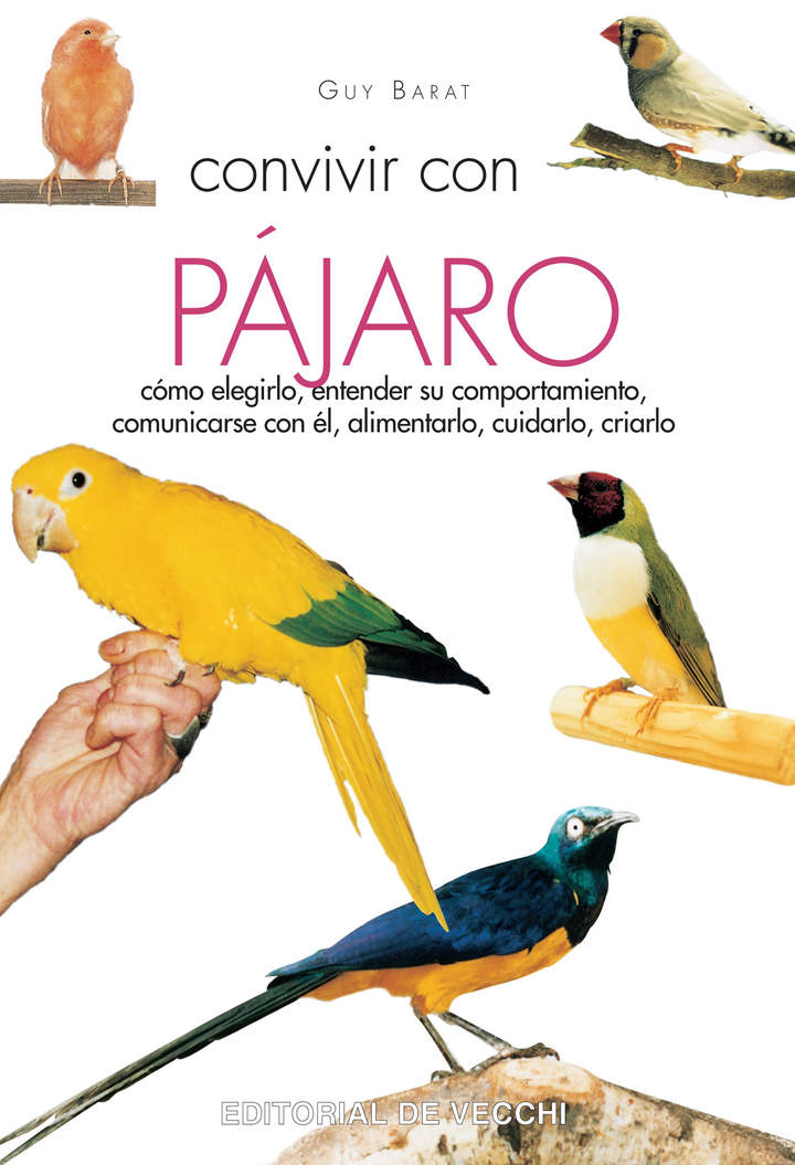 Imagen portada