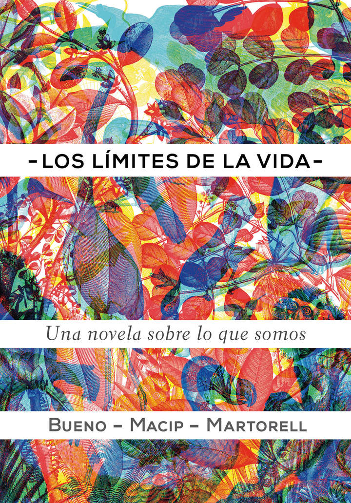 Imagen portada