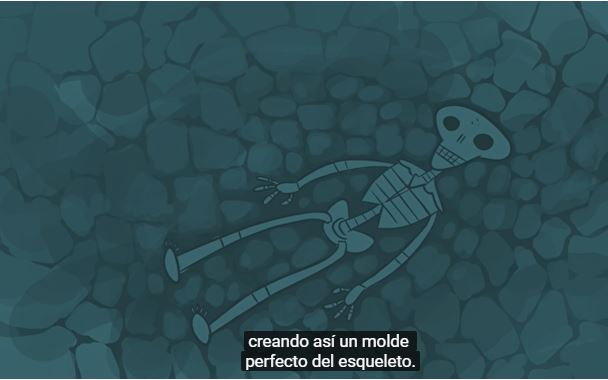 Imagen portada