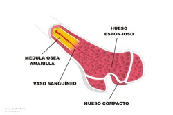 Imagen portada