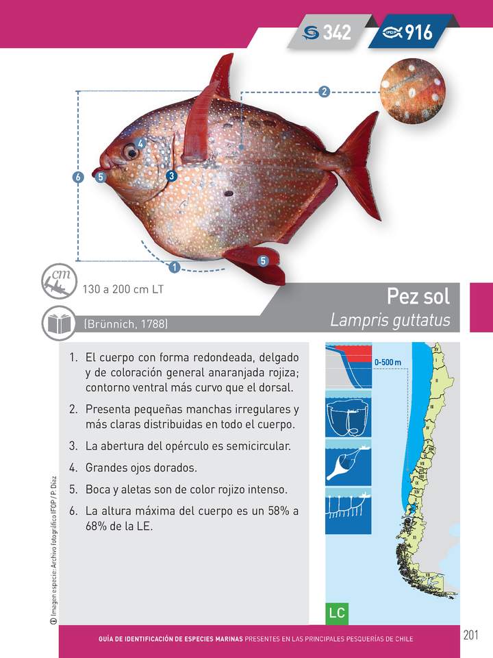 Imagen portada