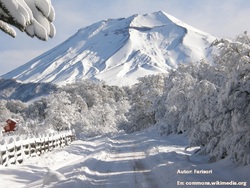 Imagen portada