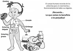 Imagen portada