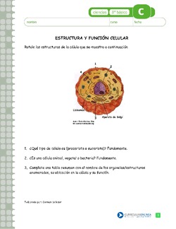 Imagen portada