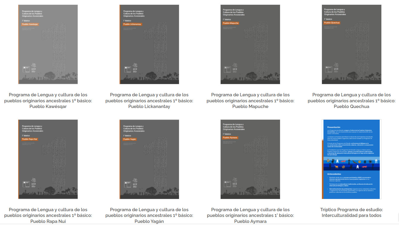 Programas de Lengua y Cultura de Pueblos Originarios Ancestrales
