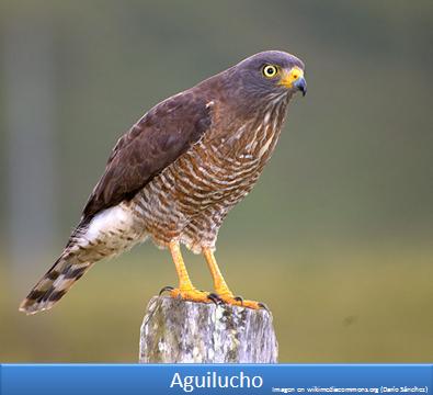 Imagen portada