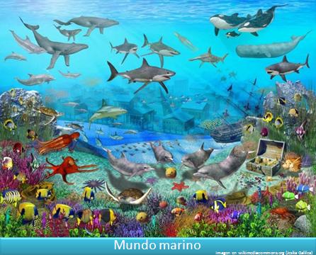 Imagen portada