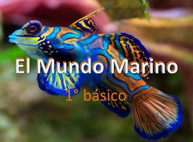Imagen portada