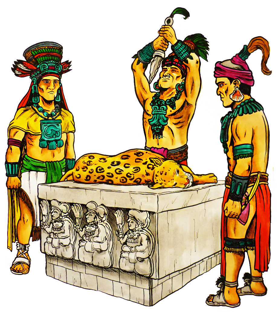 Imagen portada