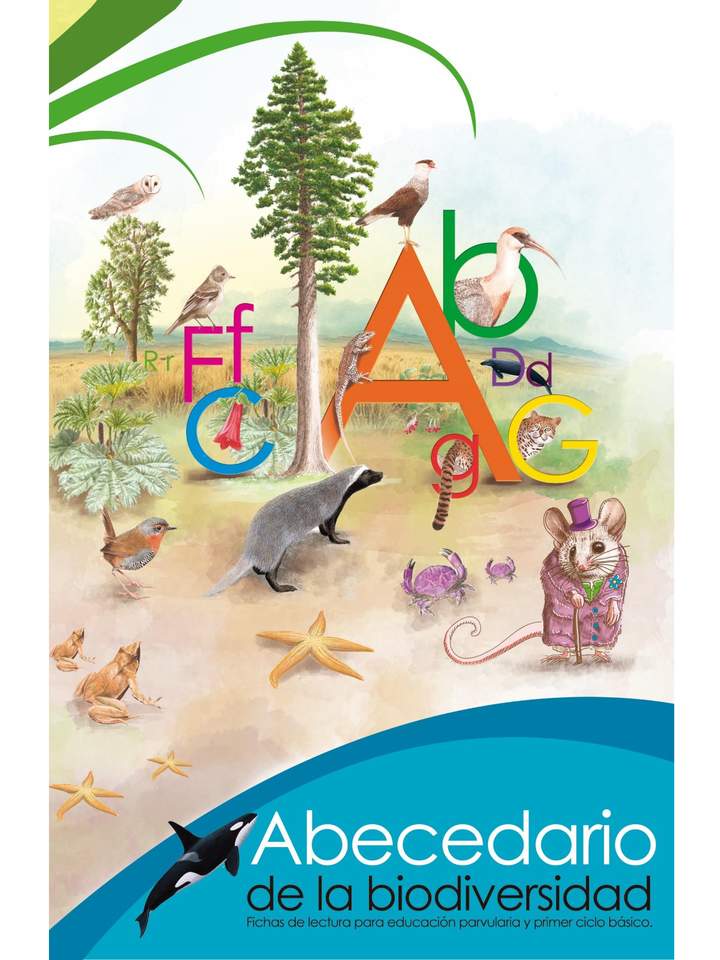 Imagen portada