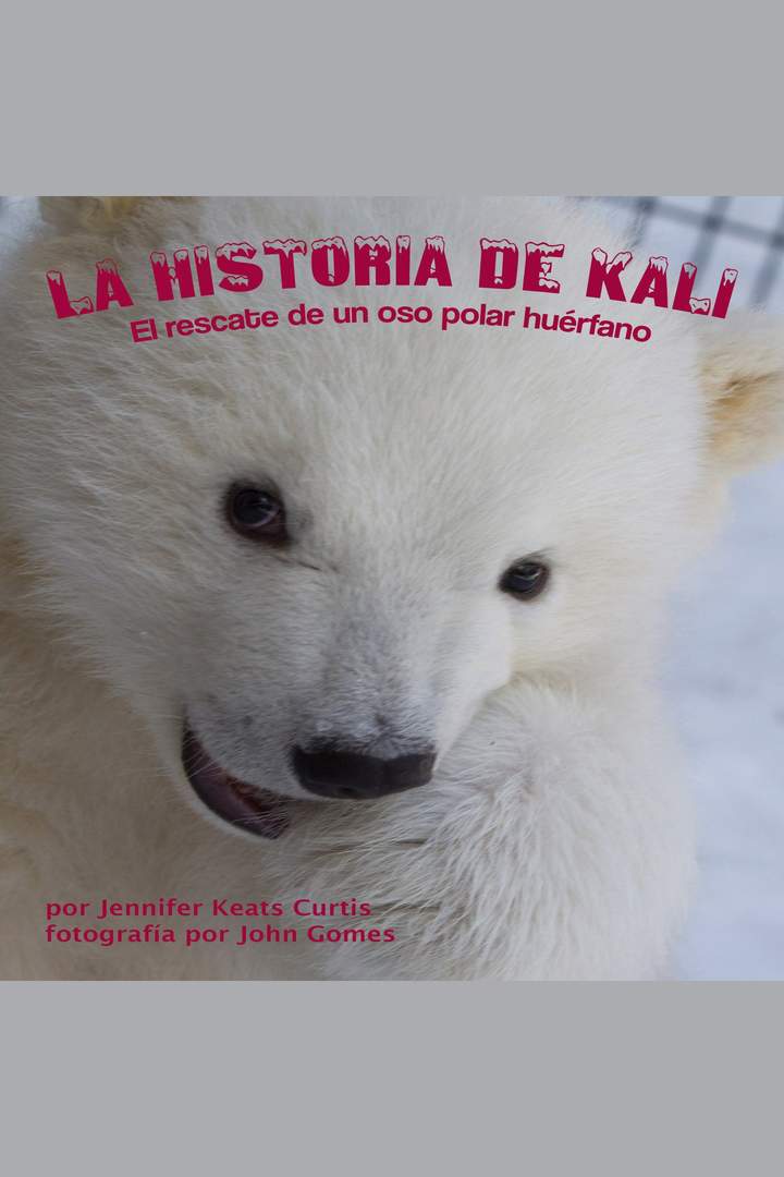 Imagen portada
