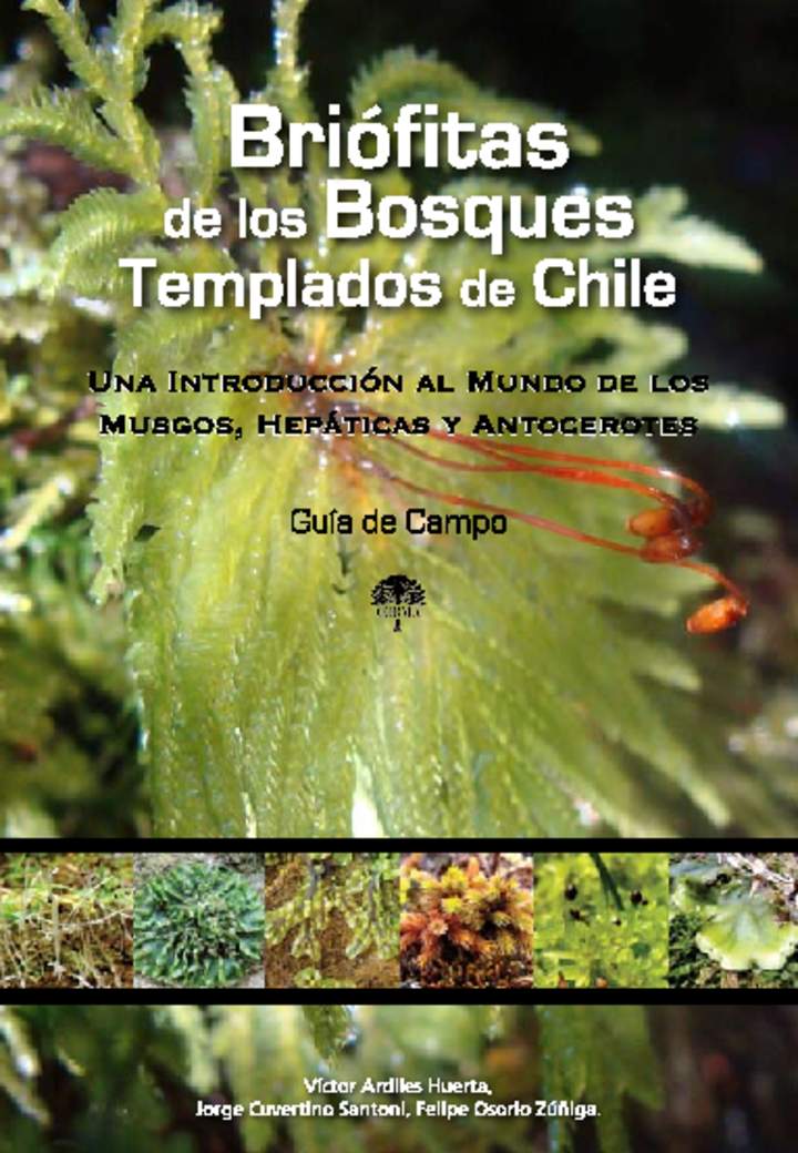 Imagen portada