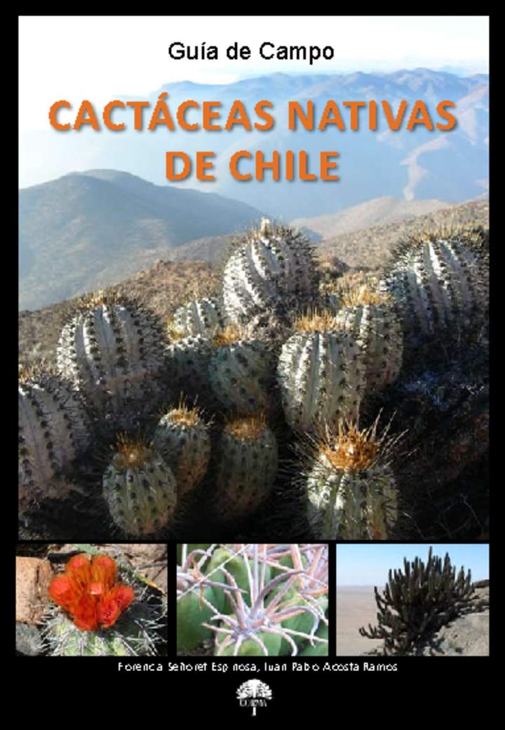 Imagen portada