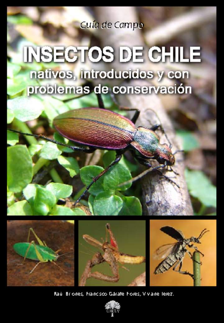 Imagen portada