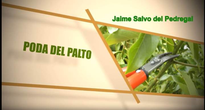 Imagen portada
