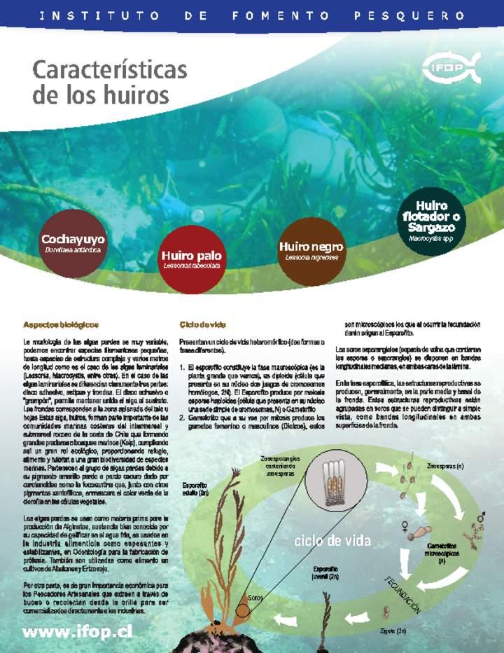 Imagen portada