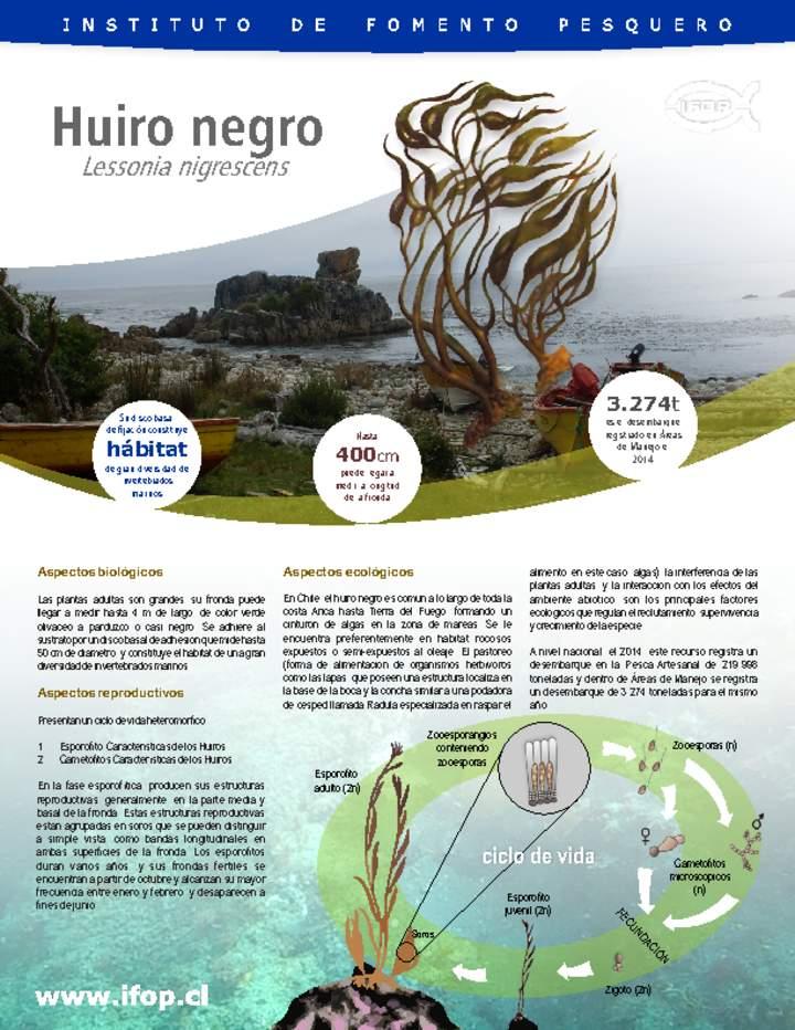 Imagen portada