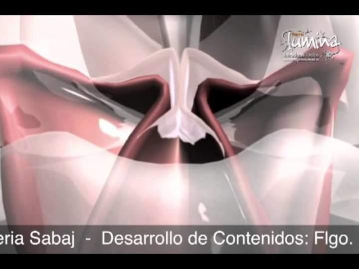 Imagen portada