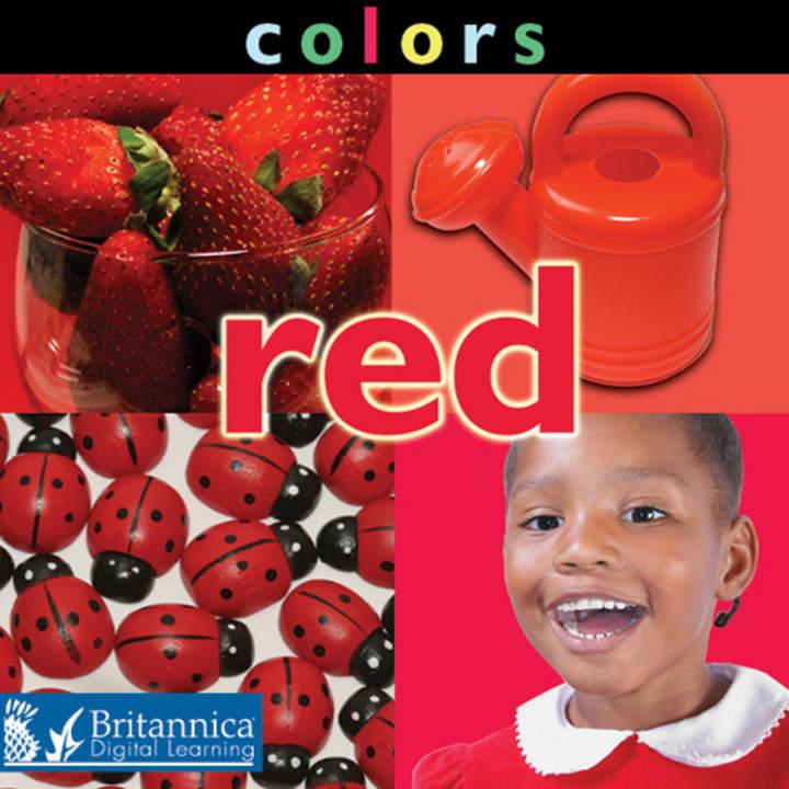Imagen portada