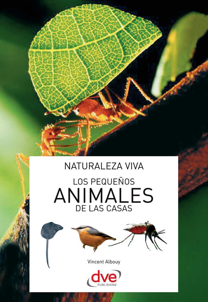 Imagen portada