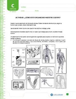 Imagen portada